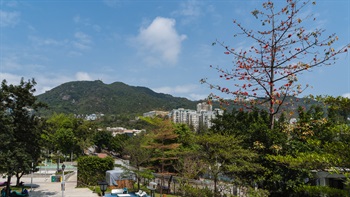 Located at the foot of Lion Rock, visitors can enjoy the view of the mountain ridge from the Park.